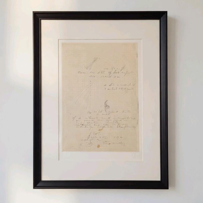 Panamarenko fascimile, Antiek en Kunst, Kunst | Litho's en Zeefdrukken, Ophalen of Verzenden