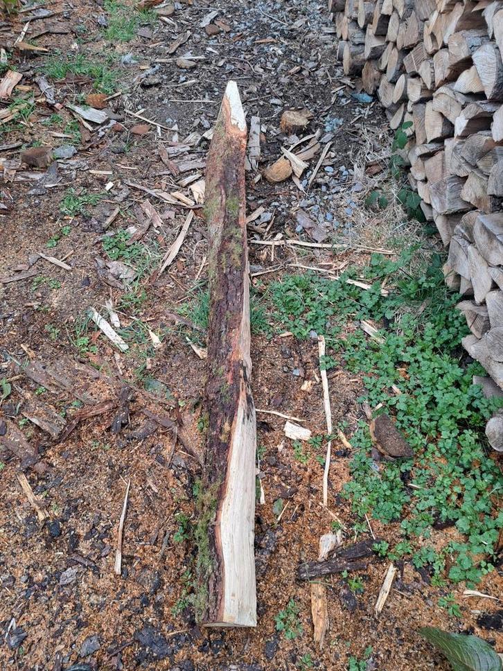 Piquets de chêne, Jardin & Terrasse, Clôtures de jardin, Enlèvement ou Envoi