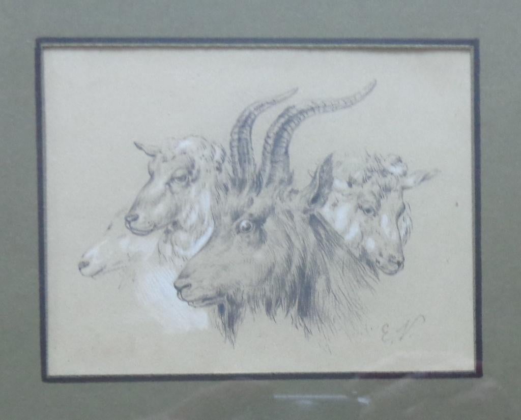 EUGENE VERBOECKHOVEN / GEITEN / ORIGINEEL / 25x31cm / KADER, Ophalen of Verzenden