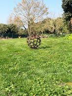 Bol in hoefijzers, Ophalen