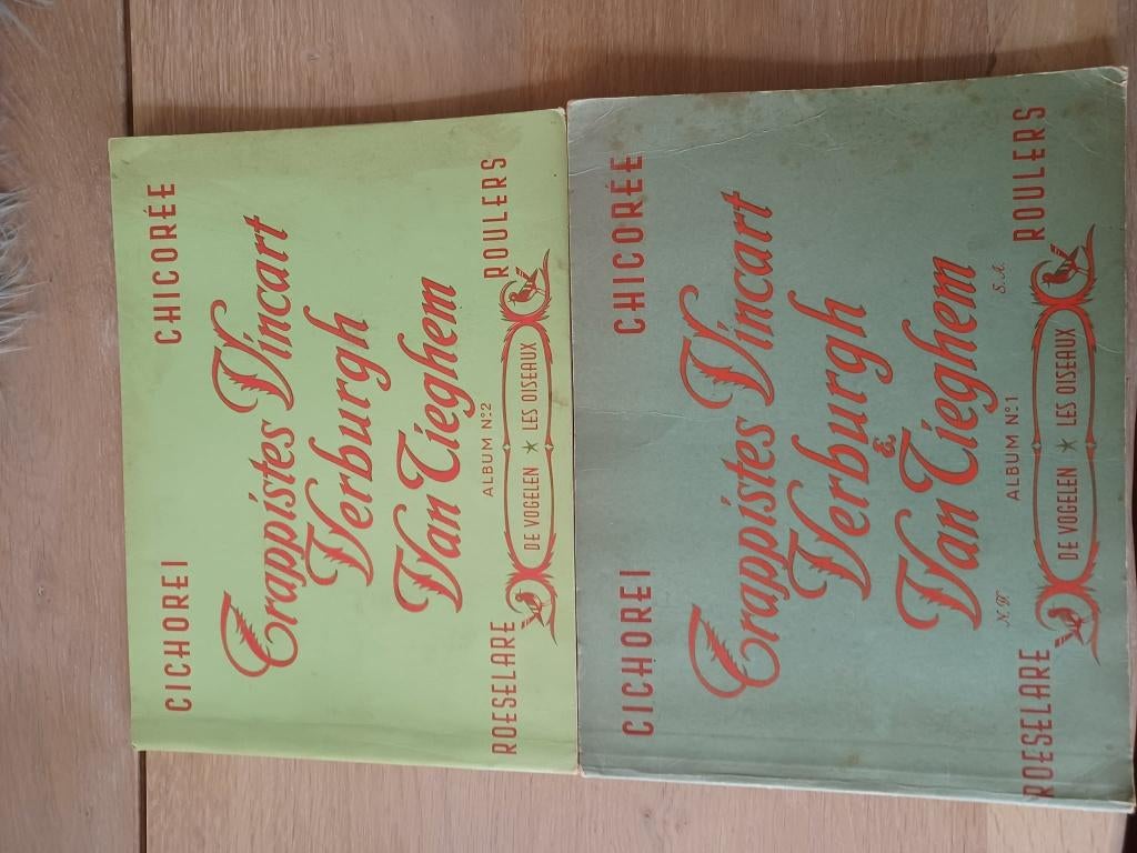 Chicorée Trappistes Vincart Verburgh Les Oiseaux Les Oiseaux, Livres, Livres d'images & Albums d'images, Enlèvement ou Envoi, Utilisé