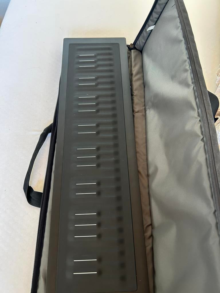 Roli Seabord  Rise 49, Musique & Instruments, Enlèvement, Comme neuf