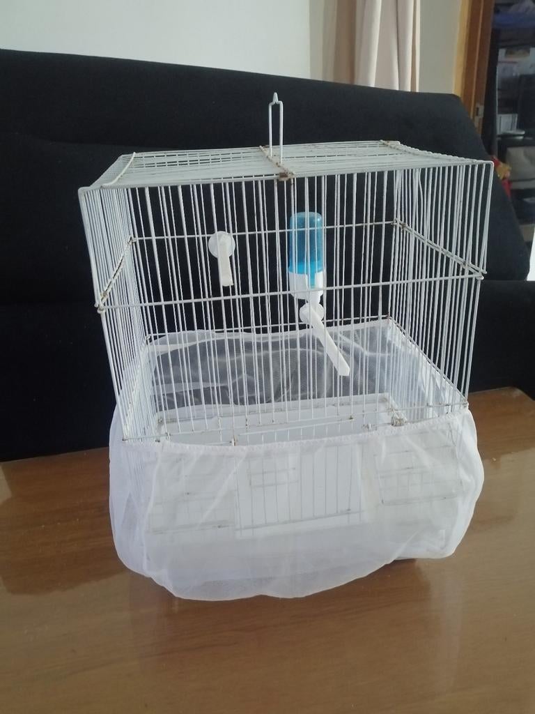 Cage, Animaux & Accessoires, Enlèvement