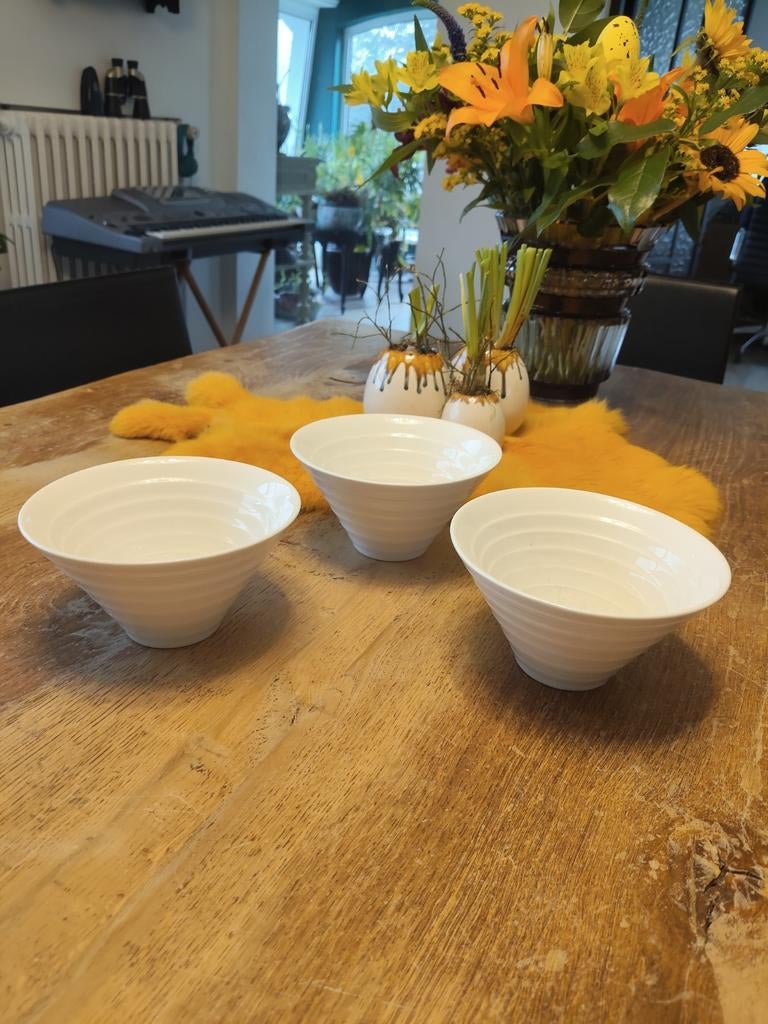 Boch, Ophalen of Verzenden, Porselein