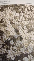 Hoornbloem, Tuin en Terras, Ophalen