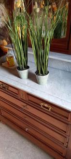 Kunststofplantjes in seraxpotjes, Ophalen