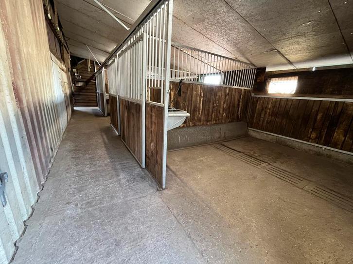 Pensionstalling aangeboden, Animaux & Accessoires, Box & Pâturages, Mise à l'étable