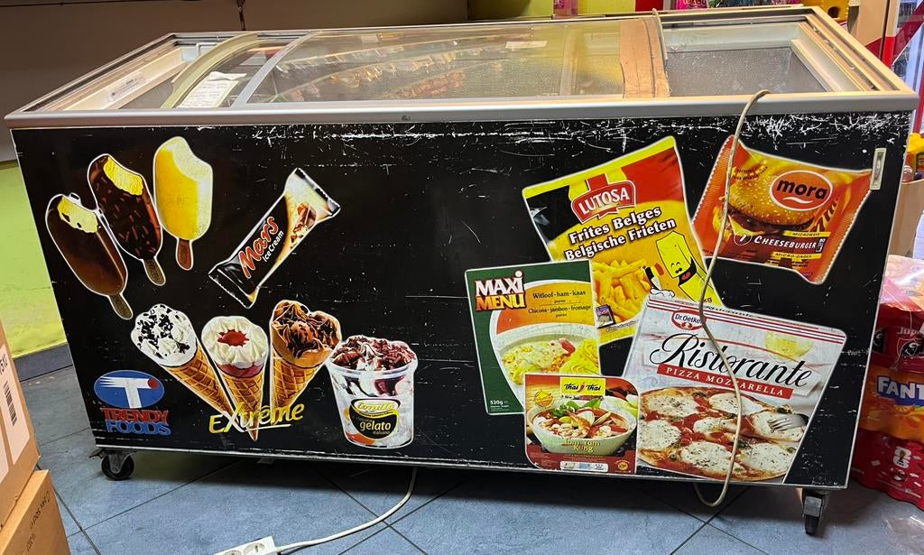 Congélateur TEFCOLD IC 500SCEB à vendre, Enlèvement, Congélateur