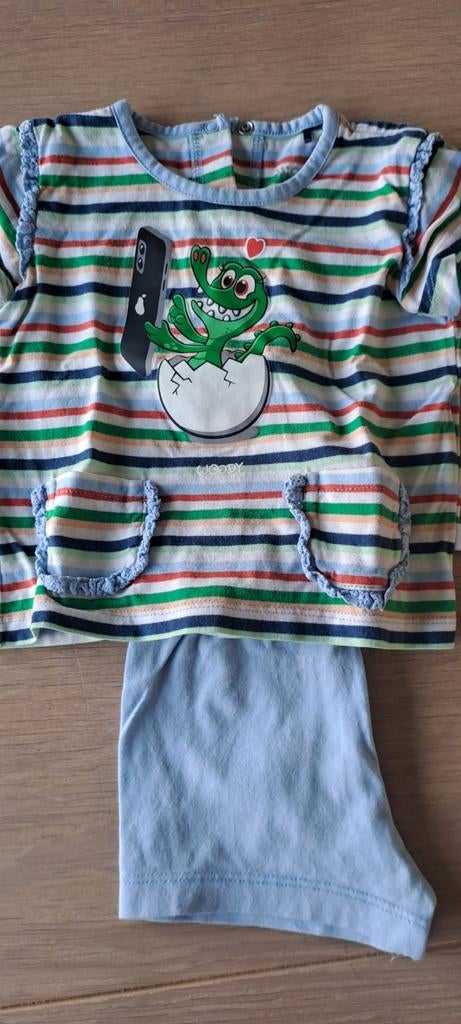 Woody, 6 maand, Ophalen