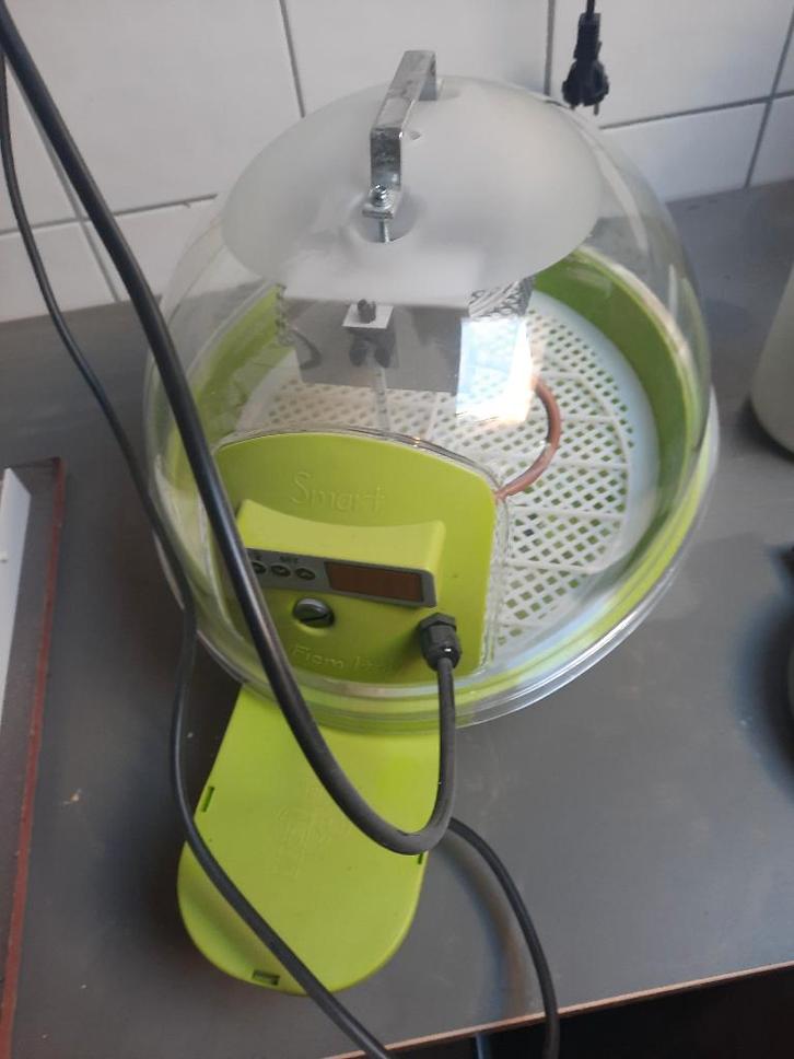 broedmachine fiem en zelfbouw, Dieren en Toebehoren, Pluimvee | Toebehoren, Zo goed als nieuw, Broedmachine, Ophalen