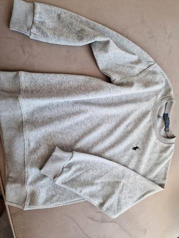 Ralph lauren trui beschikbaar voor biedingen