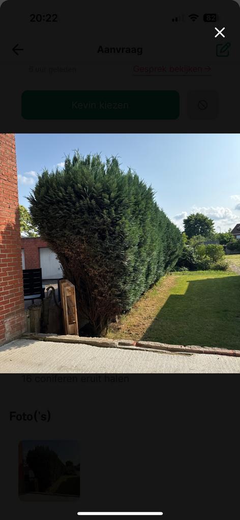 Gevraagd: Coniferen eruit halen met wortel, Tuin en Terras, Planten | Bomen, Ophalen