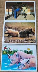 3 stickers reeks Dieren op de boerderij, Verzamelen, Ophalen of Verzenden, Zo goed als nieuw, Dier en Natuur