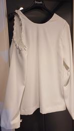 Blouse, Kleding | Dames, Blouses en Tunieken, Ophalen of Verzenden, Zo goed als nieuw