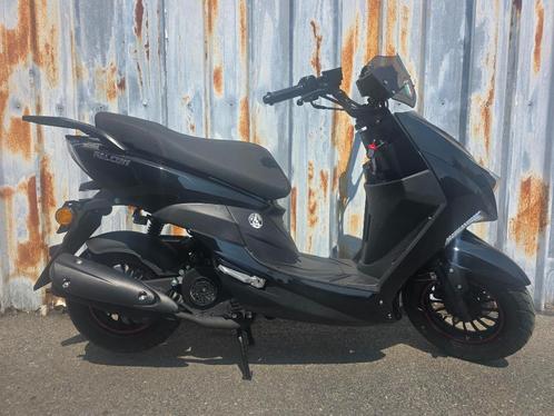 Falcon Sport Zwart/ mat zwart | Topdeal, Fietsen en Brommers, Brommers | Overige merken, Nieuw, Ophalen