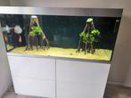 Aquarium Oase HighLine Optiwhite 300, Dieren en Toebehoren, Ophalen, Gebruikt, Gevuld zoetwateraquarium