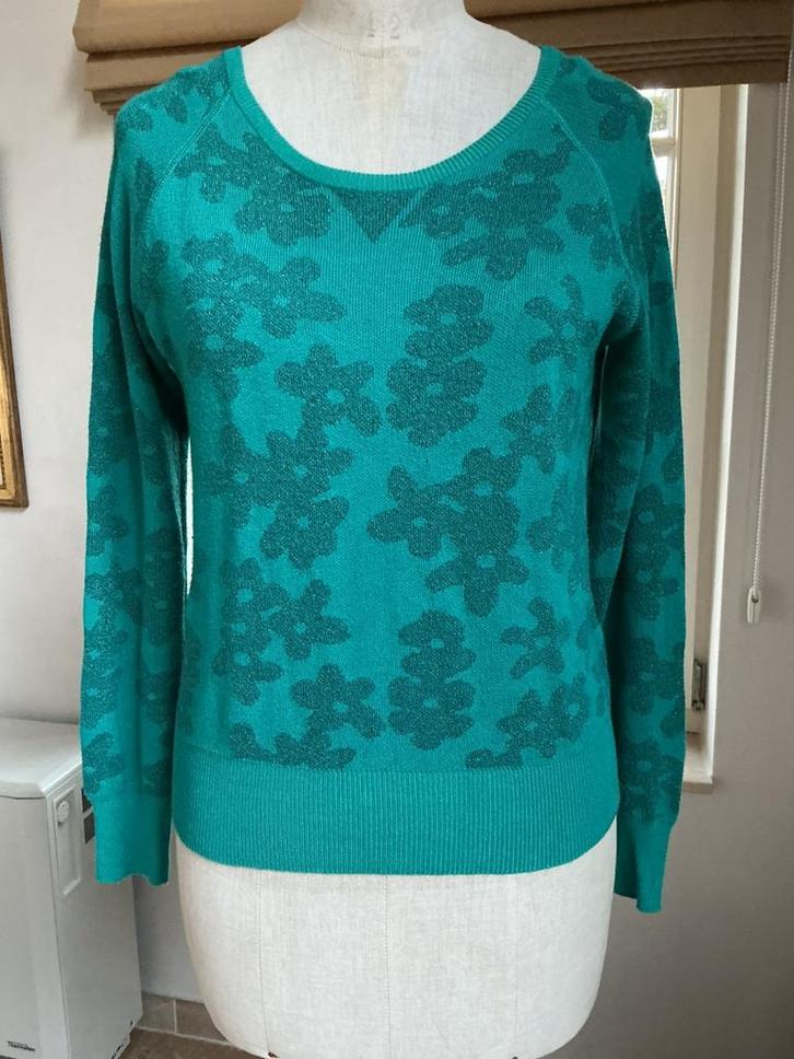 Trui van Nathalie Vleeschouwer , maat M, Kleding | Dames, Truien en Vesten, Zo goed als nieuw, Maat 38/40 (M), Groen, Ophalen of Verzenden