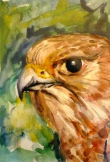 Buizerd van Guy Pattyn, Enlèvement
