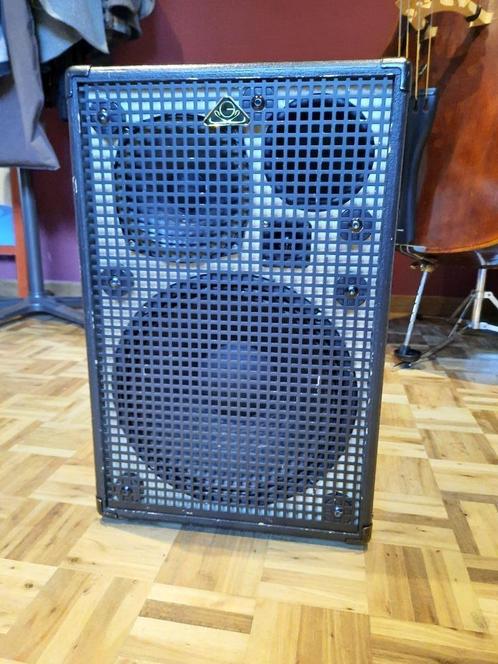 Guitar Sound Systems active speaker, Muziek en Instrumenten, Versterkers | Bas en Gitaar, Gebruikt, 100 watt of meer, Ophalen
