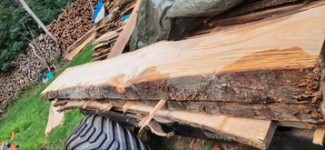 Plateau planche poutre chêne  beschikbaar voor biedingen