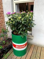Olievat (zonder de plant), Tuin en Terras, Ophalen, Gebruikt