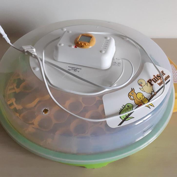 Broedmachine, Animaux & Accessoires, Volatiles | Accessoires, Comme neuf, Couveuse, Enlèvement