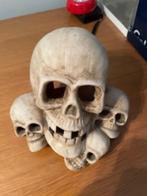 doodshoofd, ideaal voor halloween, Ophalen, Zo goed als nieuw