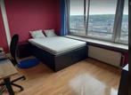Kot étudiant, Immo, 50 m² of meer, Luik (stad)