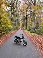 Skyteam Dax – 2018 | Goed onderhouden | 13.400 km, Ophalen, Gebruikt, Skyteam, Klasse B (45 km/u)