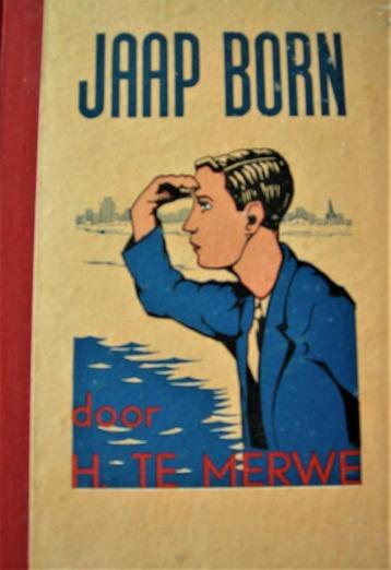 Jaap Born - H. Te Merwe beschikbaar voor biedingen