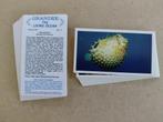 The Living Ocean complete set 30 chromos 1985 Grandee, Ophalen of Verzenden, 1980 tot heden, Natuur