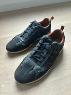 Baskets basses Geox pointure 46, Enlèvement ou Envoi, GEOX, Porté, Bleu