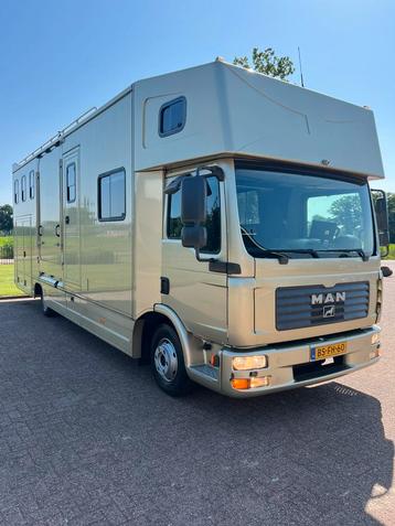 Uniek! Prachtige MAN 5-paards paardenvrachtwagen! 35.000KM! beschikbaar voor biedingen