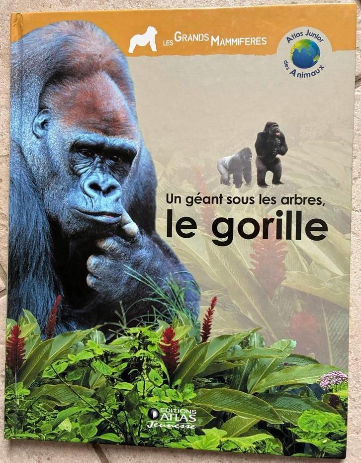 Livre documentaire Un géant sous les arbres, le gorille, Boeken, Kinderboeken | Jeugd | 10 tot 12 jaar, Nieuw, Non-fictie, Ophalen of Verzenden