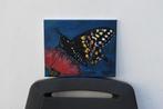 Peinture papillon /v3/, par joky kamo, Antiquités & Art, Art | Peinture | Moderne, Enlèvement