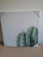 Toile cactus 50x50cm, Enlèvement ou Envoi, Neuf