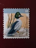 Belgique OBP 4925 mint année 2020, Enlèvement ou Envoi, Neuf