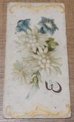 Oud prentje: bloemen (cichorei Mattheeussens Nederland), Verzamelen, Ophalen of Verzenden, Gebruikt, Overige onderwerpen, Prent