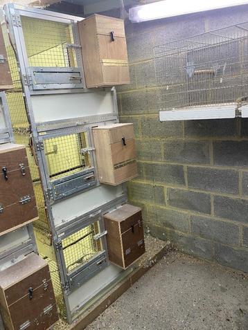 Box d'élevage beschikbaar voor biedingen