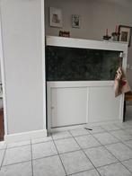 Aquarium, Enlèvement