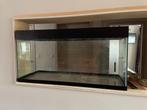 Aquarium/Terrarium, Dieren en Toebehoren, Ophalen of Verzenden, Gebruikt