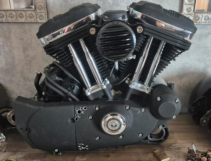 Hd sportster 883 omgebouwd 1200, Motoren, Onderdelen | Harley-Davidson, Ophalen