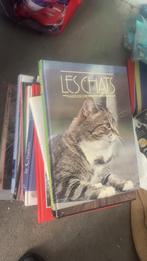 Lot livre chat, Boeken, Dieren en Huisdieren, Ophalen of Verzenden, Zo goed als nieuw