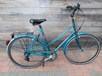 gazelle beschikbaar voor biedingen