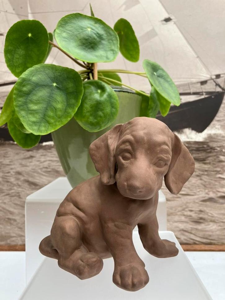 Teckel puppy van Karlsruher Majolika, Hummel, Mod. 5237, Verzamelen, Beelden en Beeldjes, Zo goed als nieuw, Hummel, Ophalen of Verzenden