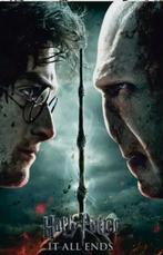 Harry Potter & Voldemort - It all ends - mancave poolhouse, Ophalen of Verzenden, Zo goed als nieuw, Reclamebord
