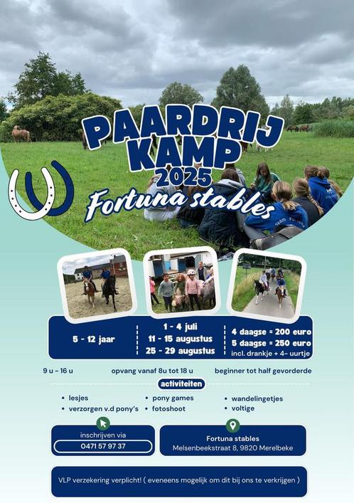 Ponykampen, Dieren en Toebehoren, Pony's