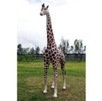 Giraffe 8 ft. – Giraf beeld Hoogte 230 cm