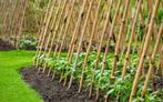 Tonkinstokken, Tuin en Terras, Palen, Balken en Planken, Ophalen, Nieuw