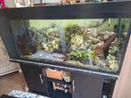 Aquarium met toebehoren te koop 500l, Dieren en Toebehoren, Reptielen en Amfibieën | Toebehoren, Ophalen, Zo goed als nieuw